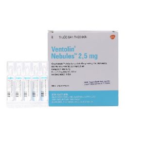 Ventolin Nebules 2.5mg ( H/ 6 vỉ x 5 ống ) – Gsk