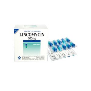Lincomycin 500mg ( H/ 10 vỉ x 10 viên ) – Vidipha